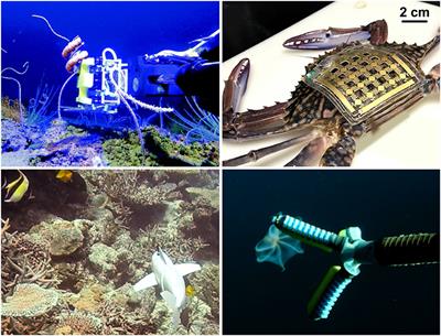 Propaedeutic Study of Biocomposites Obtained With Natural Fibers for Oceanographic Observing Platforms